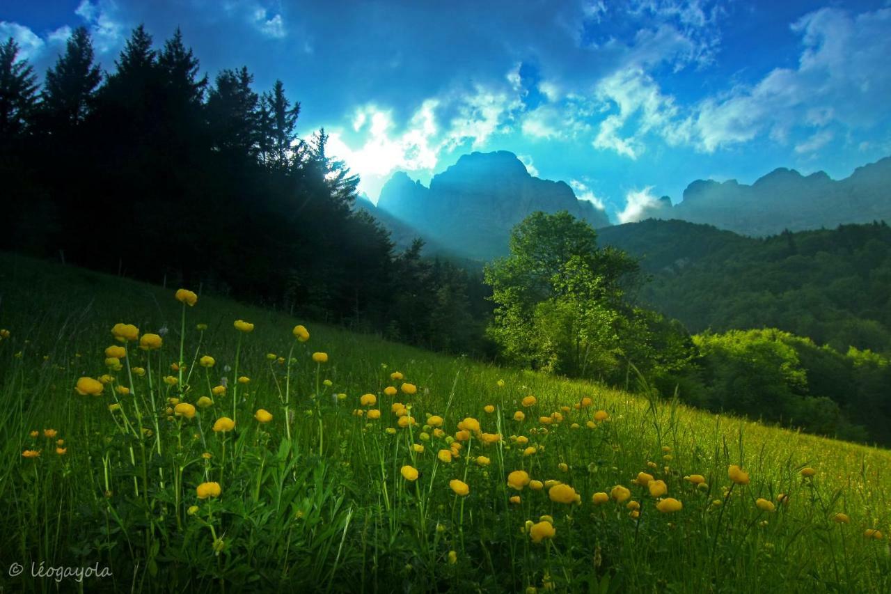 Les Chalets De Pre Clos En Vercors Saint-Andeol  Экстерьер фото